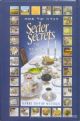 98341 Seder Secrets